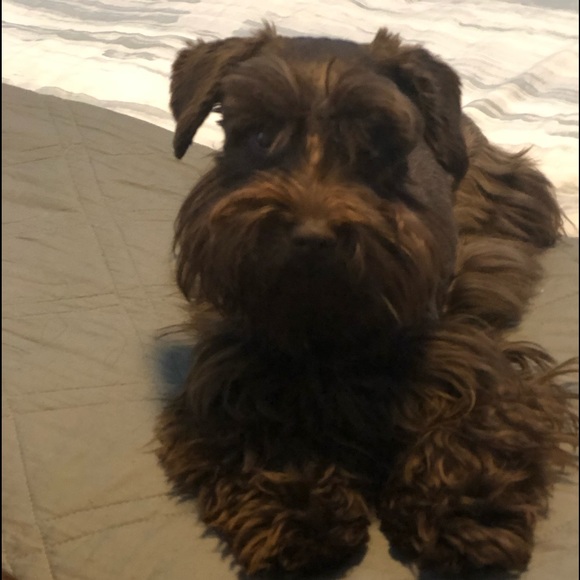 Meet your Posher, Ciria - Picture 1 of 1